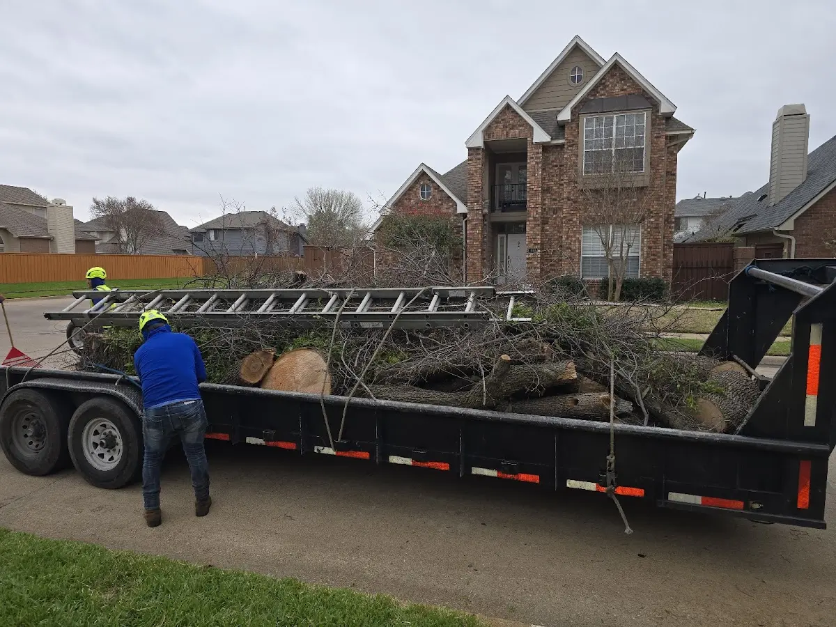 Expert Tree Pest Control with proper safety equipment in Vernon